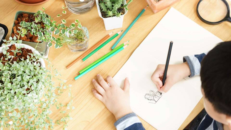 niño dibujando sobre una mesa